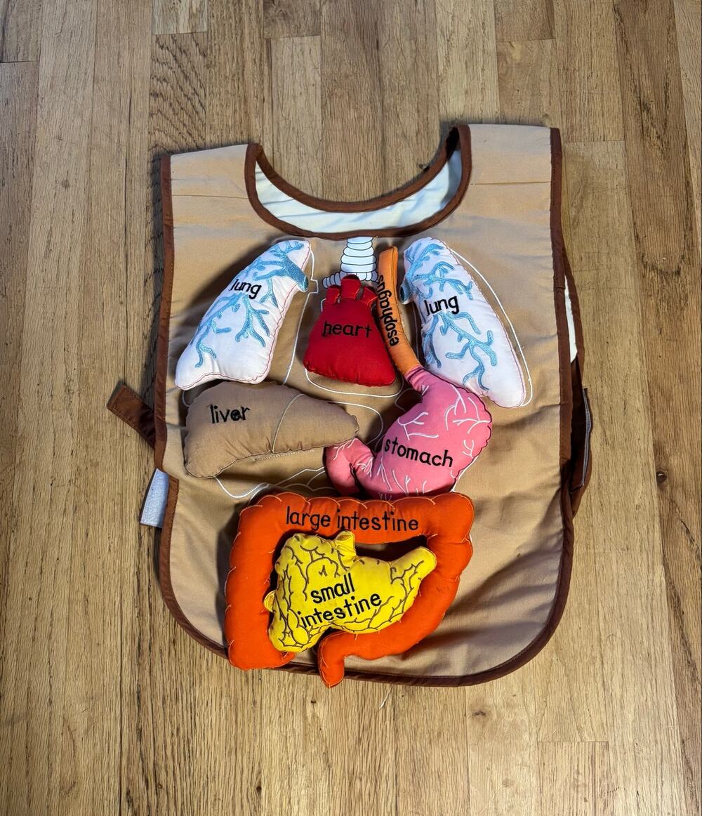 Lakeshore Learning What's Inside Me Apron Anatomy Organs Educational Ages 3-6